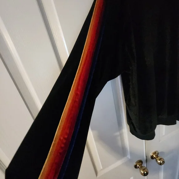 Aviator Nation Velvet Hooded Sweatshirt - Picture 4 of 6